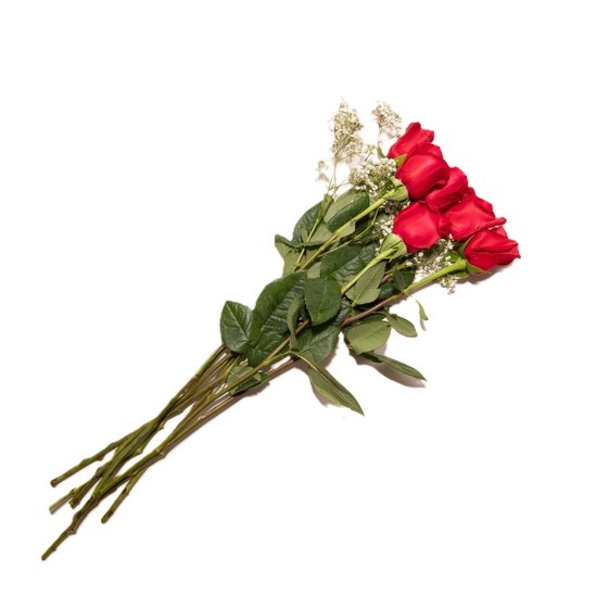 Premium Rose Bouquet - 6 Stem